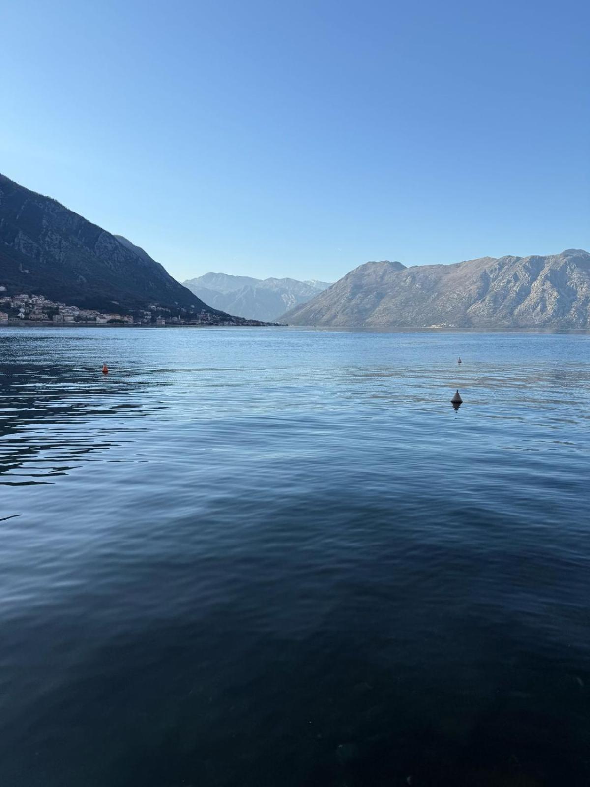 Alex 50m From The Sea,free Private Parking Apartment *